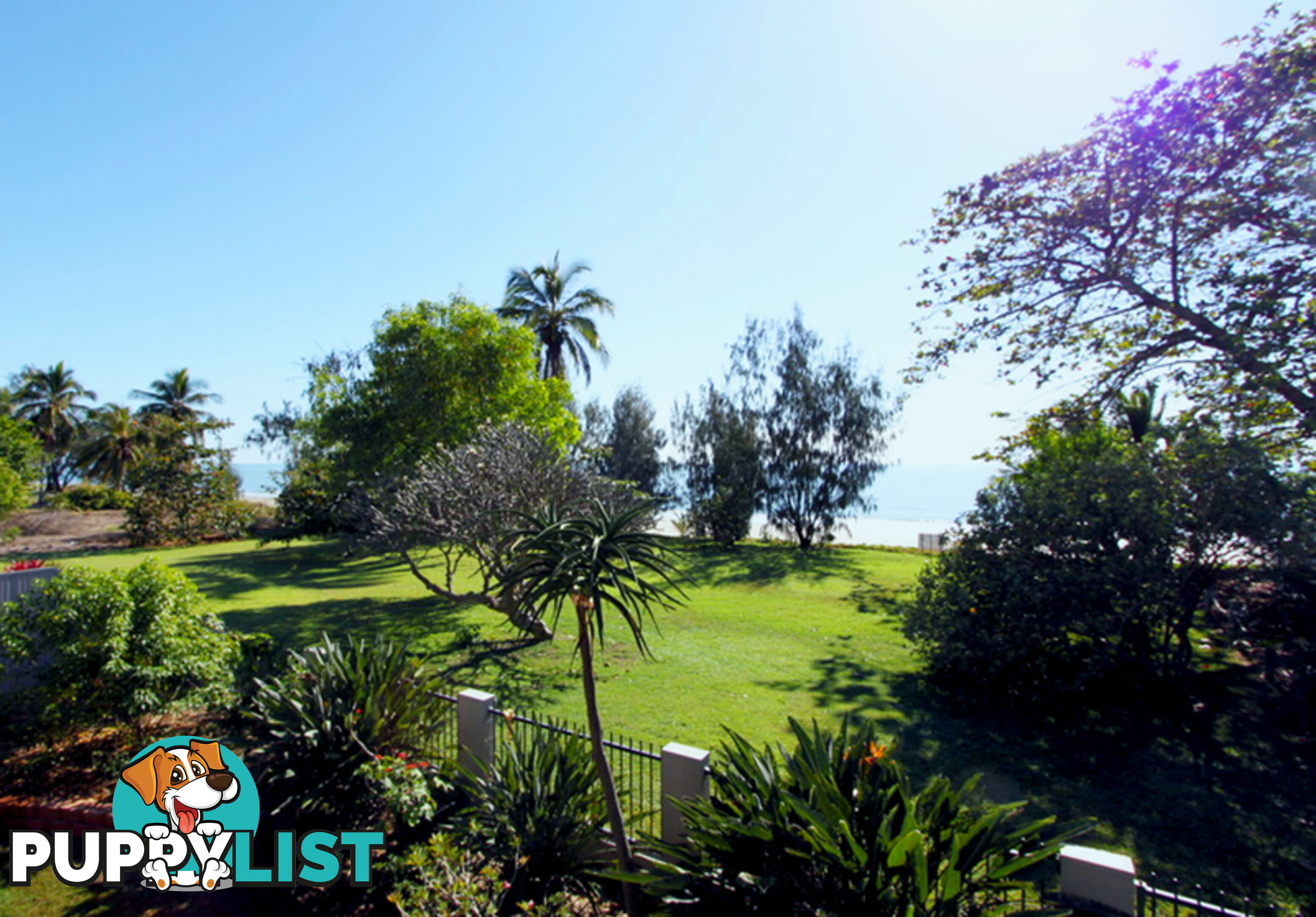 24 Reef Street SAUNDERS BEACH QLD 4818