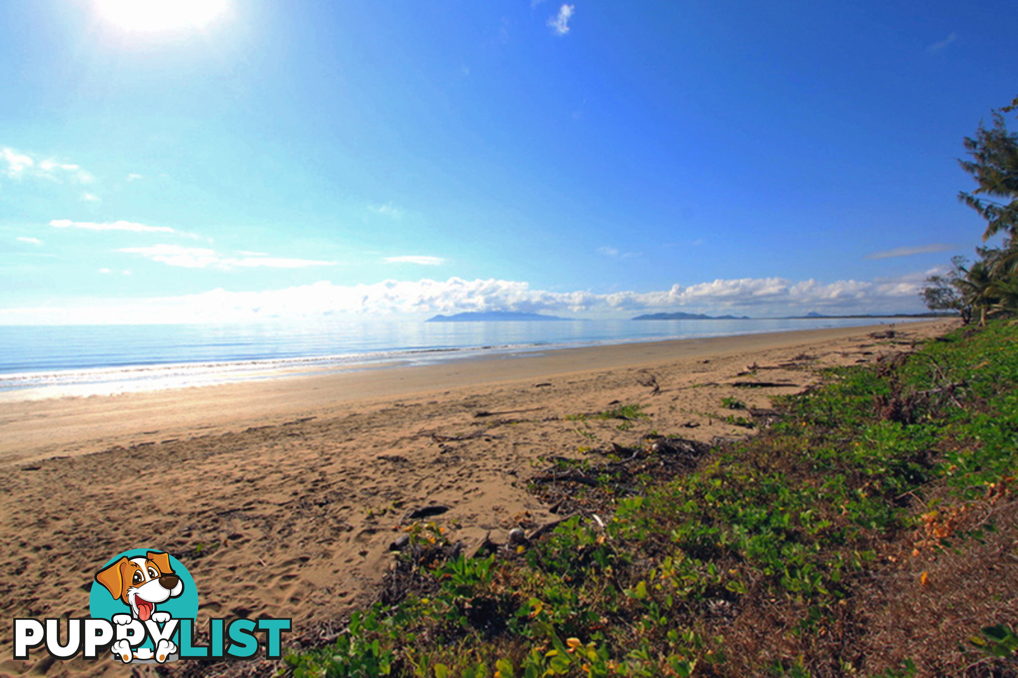 24 Reef Street SAUNDERS BEACH QLD 4818