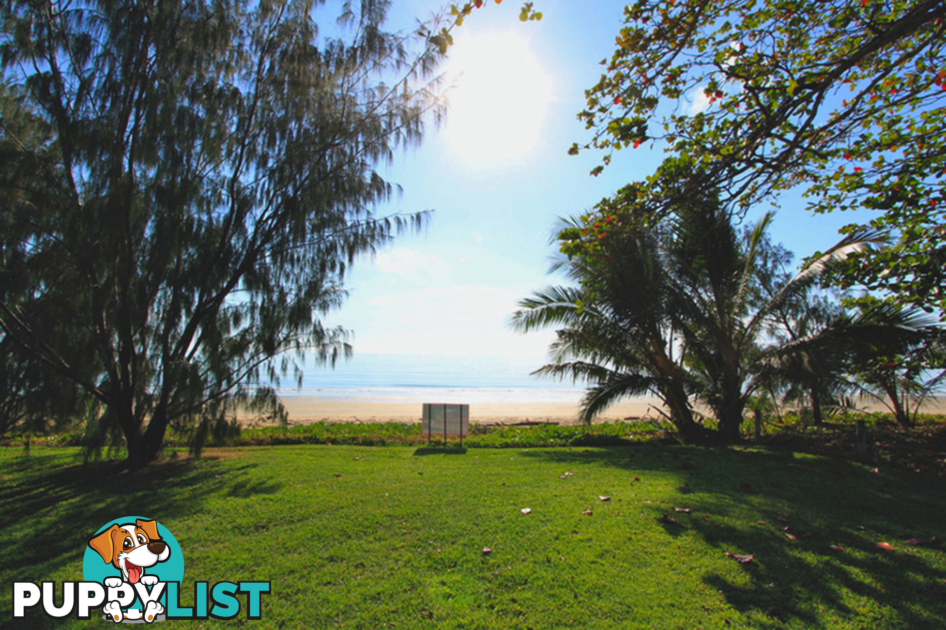 24 Reef Street SAUNDERS BEACH QLD 4818