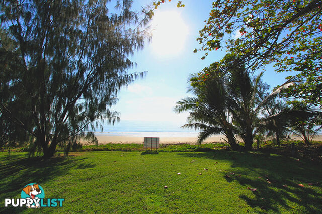 24 Reef Street SAUNDERS BEACH QLD 4818