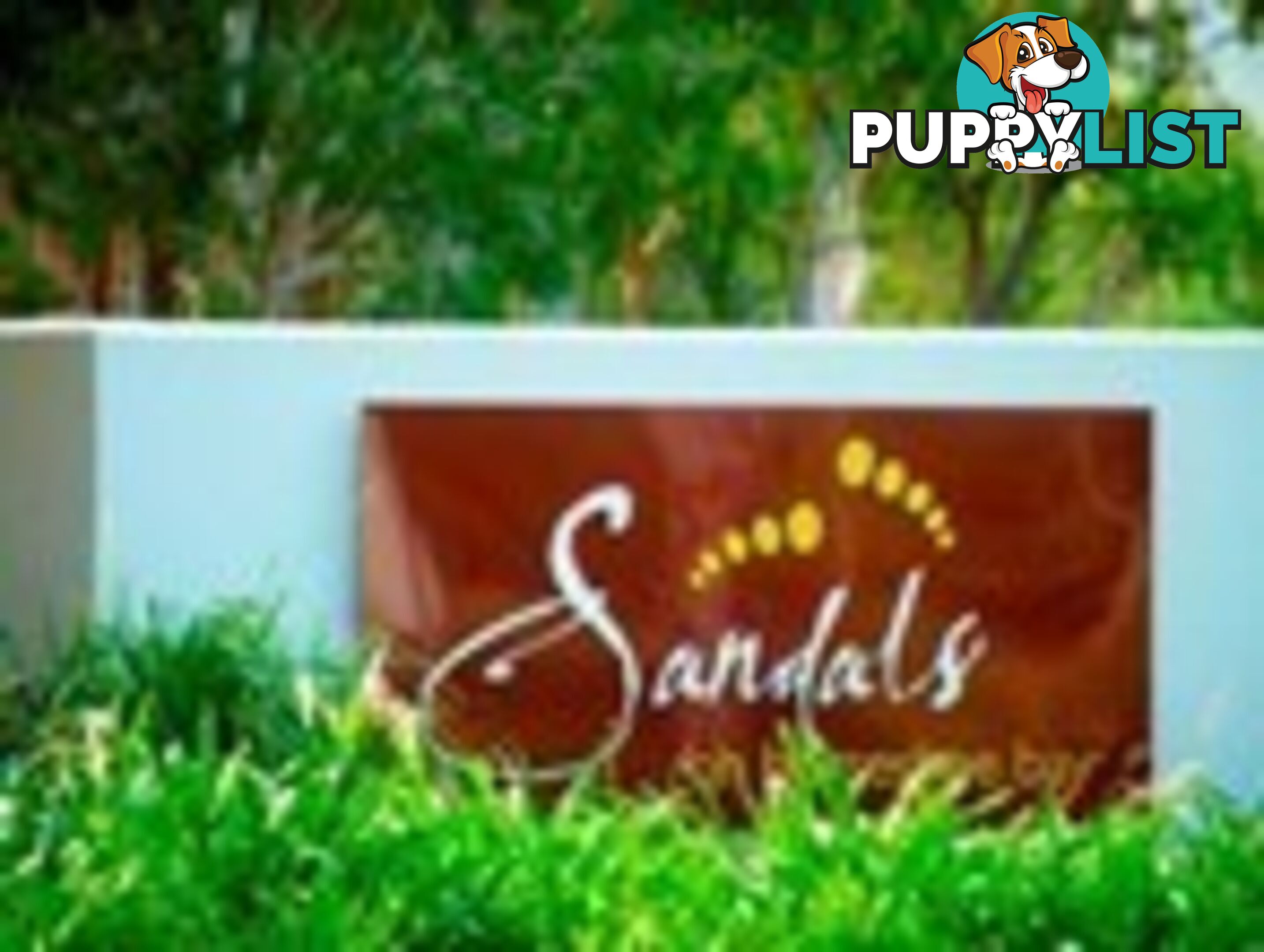 11 Sandals Blvd HORSESHOE BAY QLD 4819