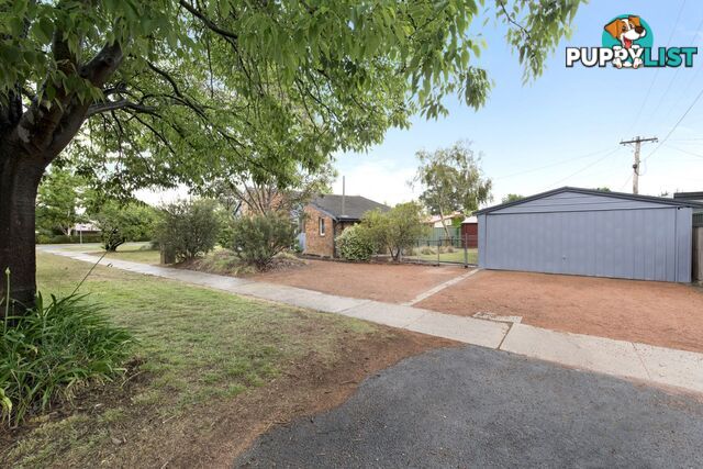 33 Sherbrooke Street Ainslie ACT 2602