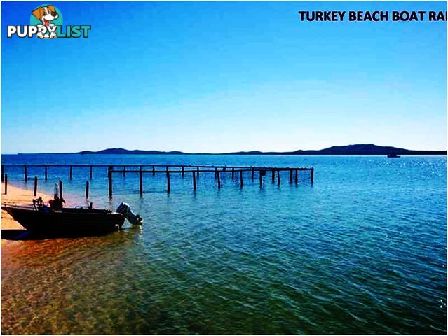 79 Worthington Road TURKEY BEACH QLD 4678