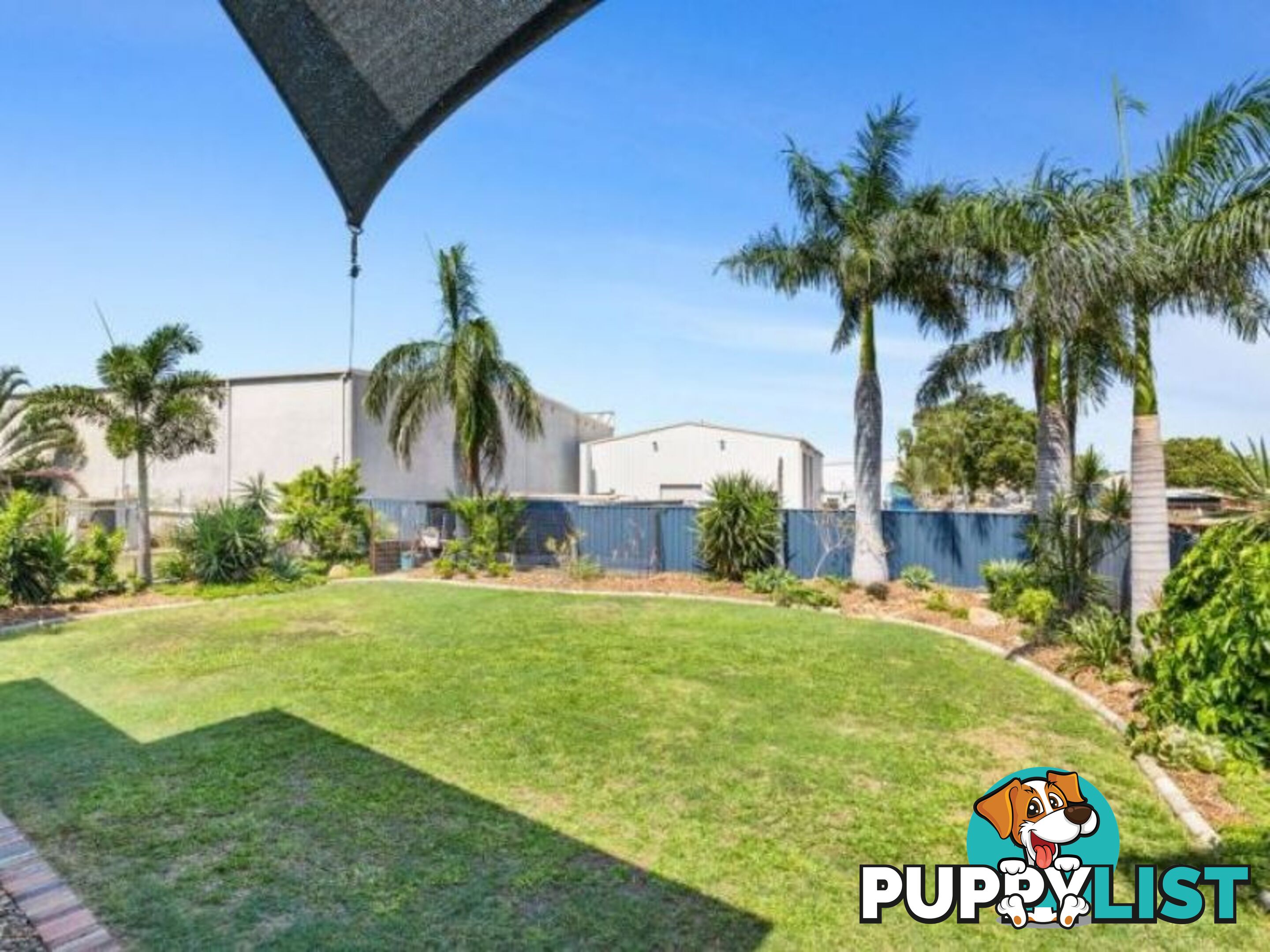 19 Quinn St KAWANA QLD 4701