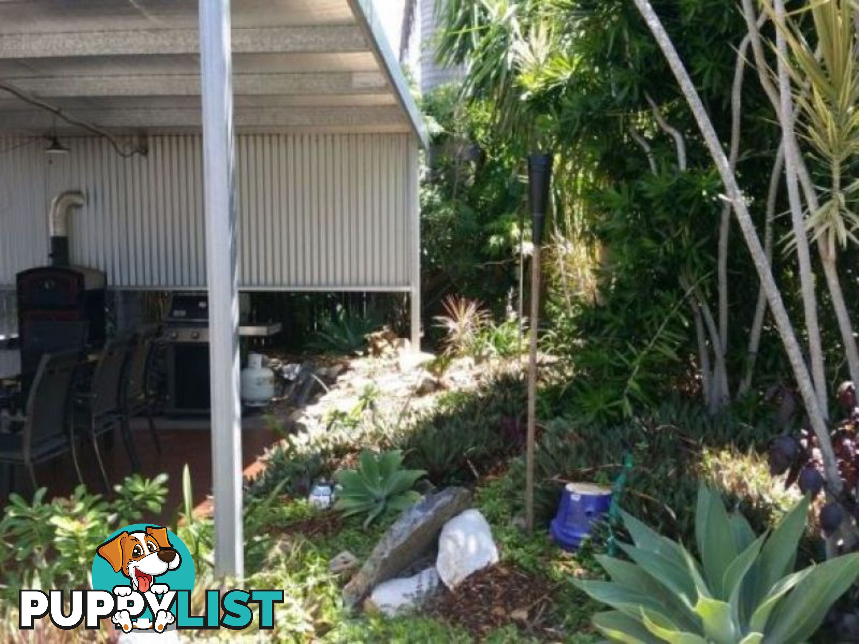 19 Quinn St KAWANA QLD 4701