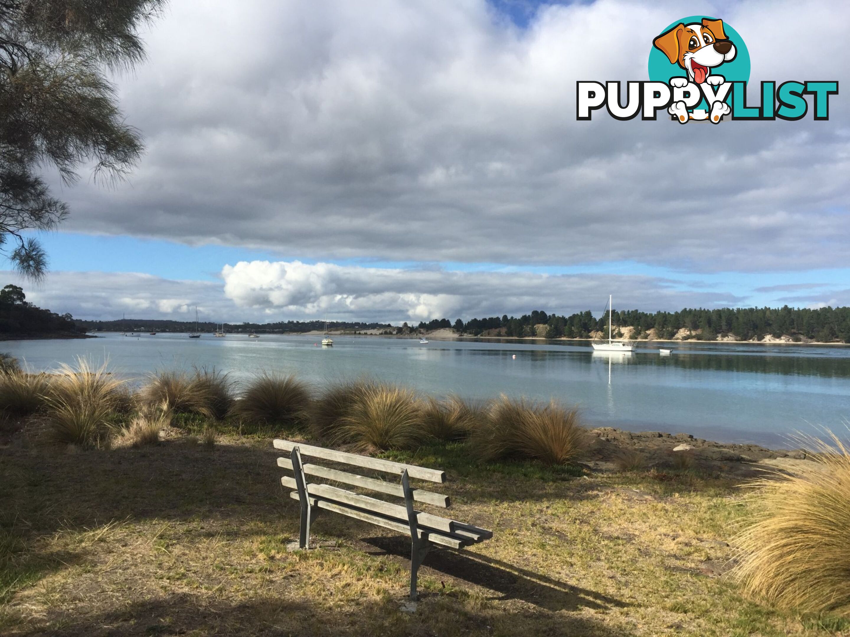 Lot 3 517 Old Forcett Road DODGES FERRY TAS 7173