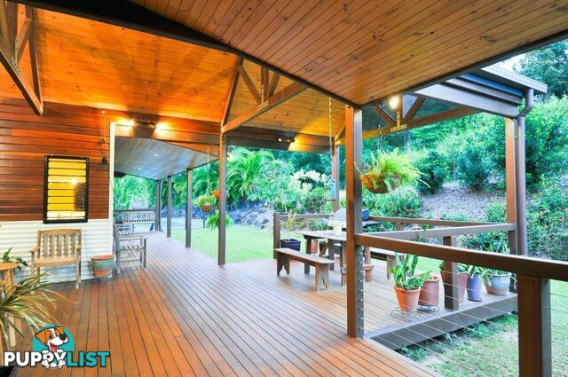 9 Pepperberry Lane CANNON VALLEY QLD 4800