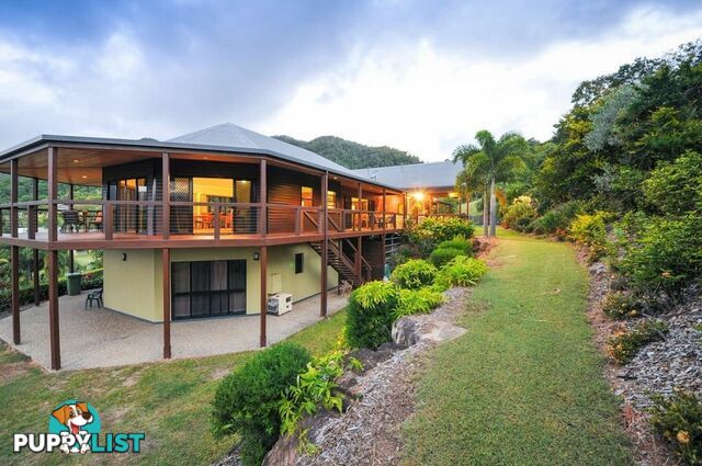 9 Pepperberry Lane CANNON VALLEY QLD 4800