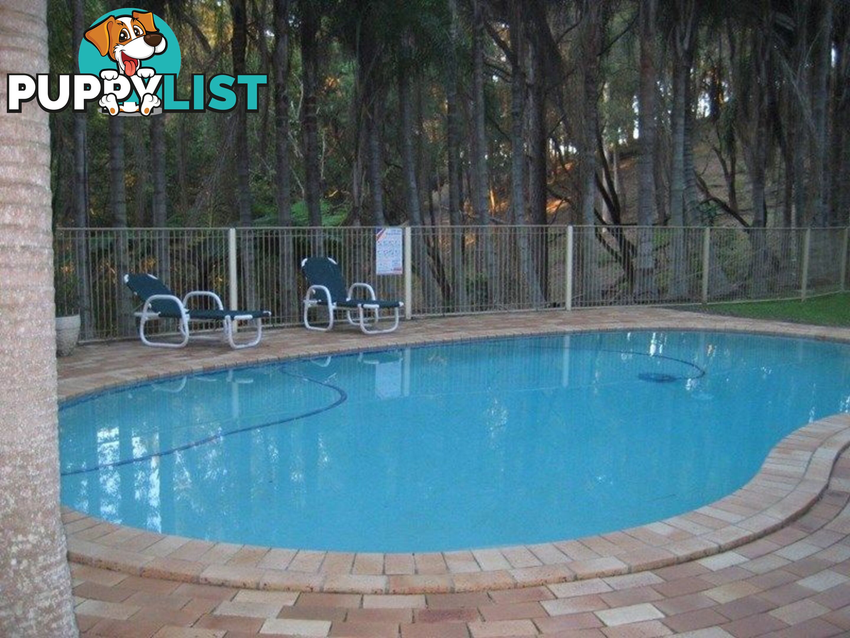 47 3 Clancy Court TUGUN QLD 4224