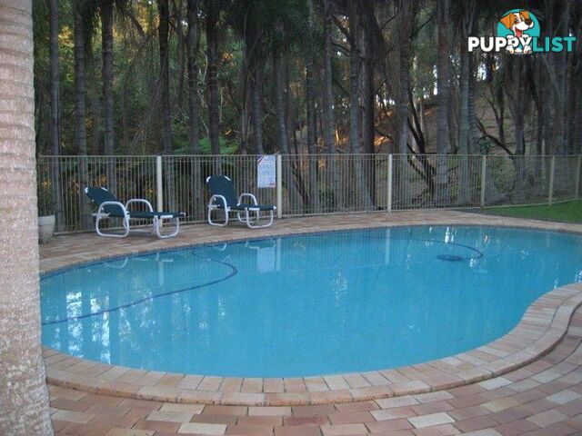 47 3 Clancy Court TUGUN QLD 4224