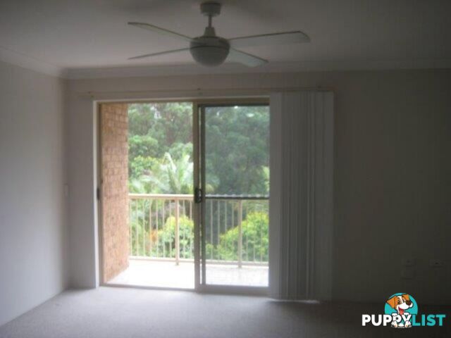 47 3 Clancy Court TUGUN QLD 4224