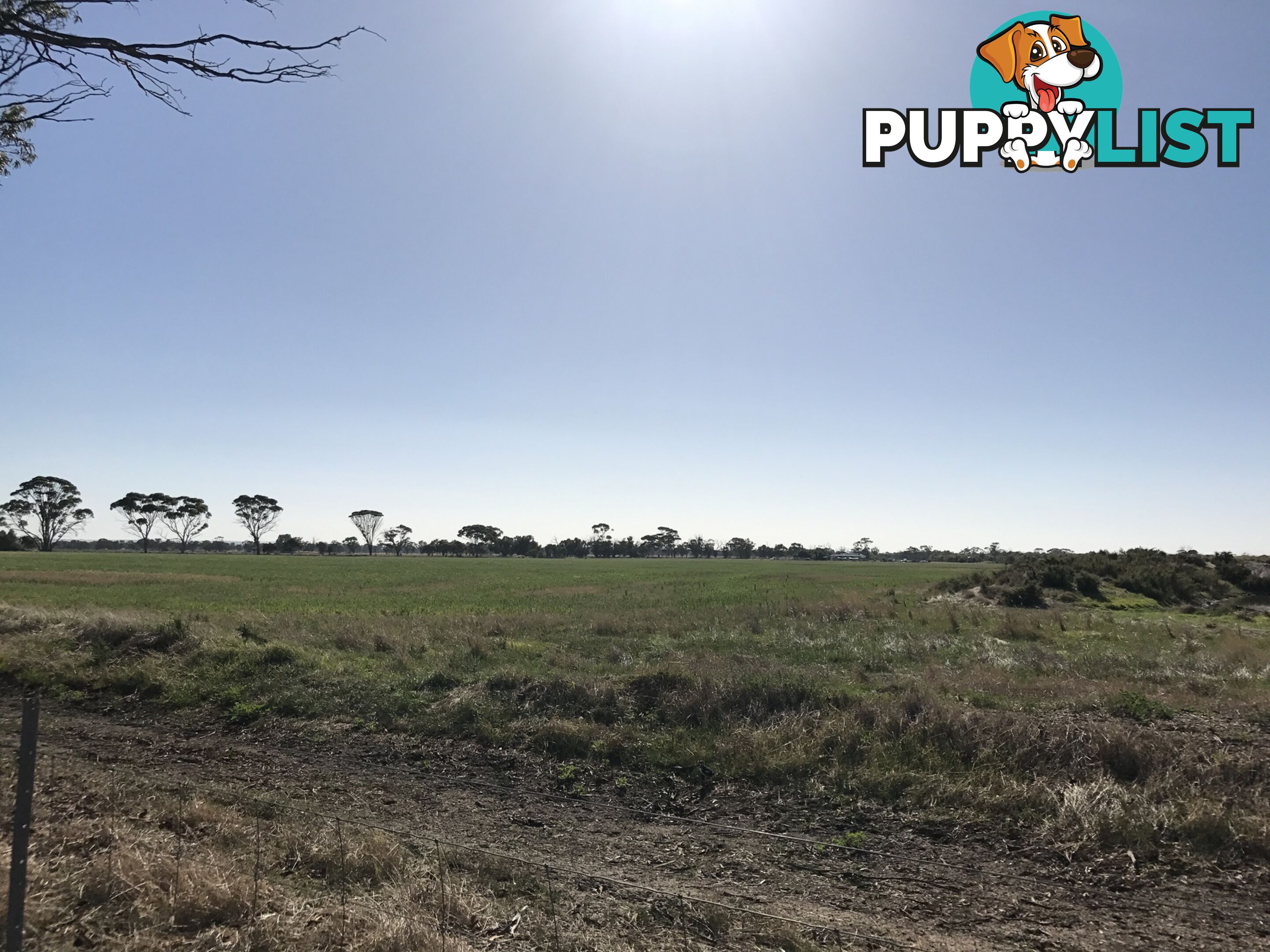 Lot 3767 Fiegert Road CUNDERDIN WA 6407