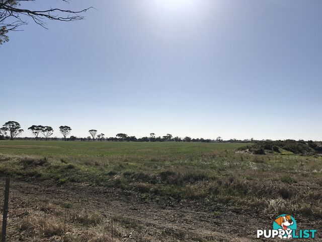 Lot 3767 Fiegert Road CUNDERDIN WA 6407