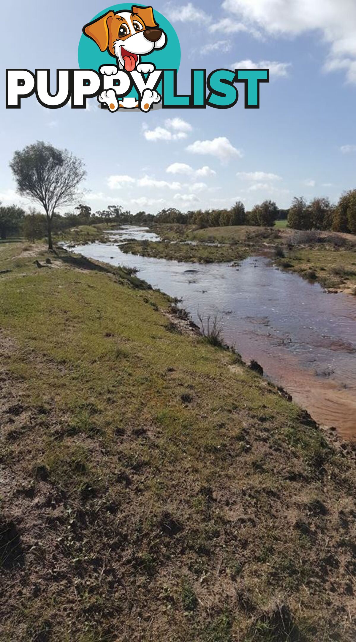 Lot 3767 Fiegert Road CUNDERDIN WA 6407