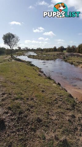 Lot 3767 Fiegert Road CUNDERDIN WA 6407