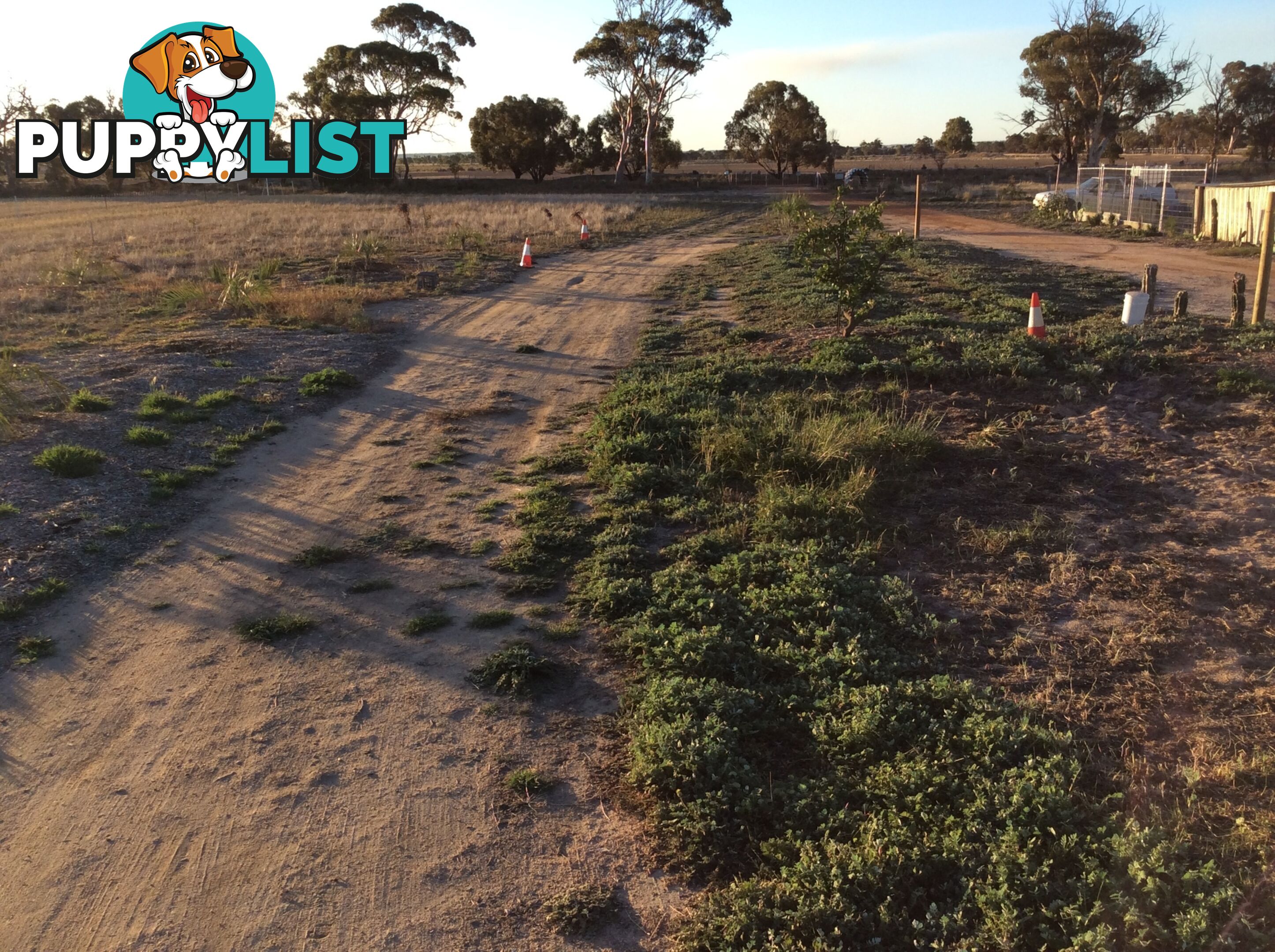 Lot 3767 Fiegert Road CUNDERDIN WA 6407