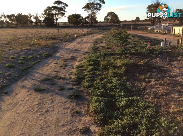 Lot 3767 Fiegert Road CUNDERDIN WA 6407