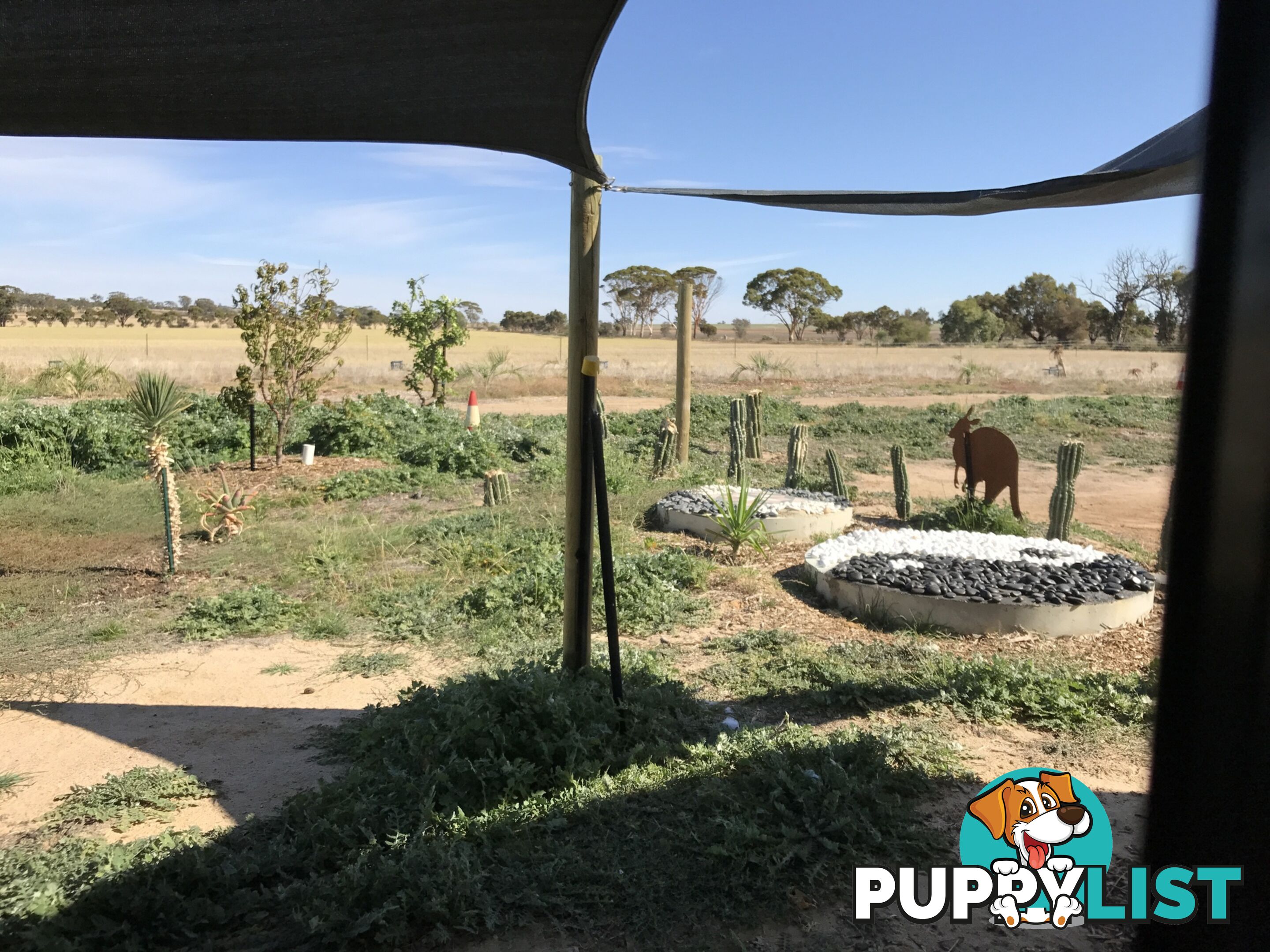 Lot 3767 Fiegert Road CUNDERDIN WA 6407