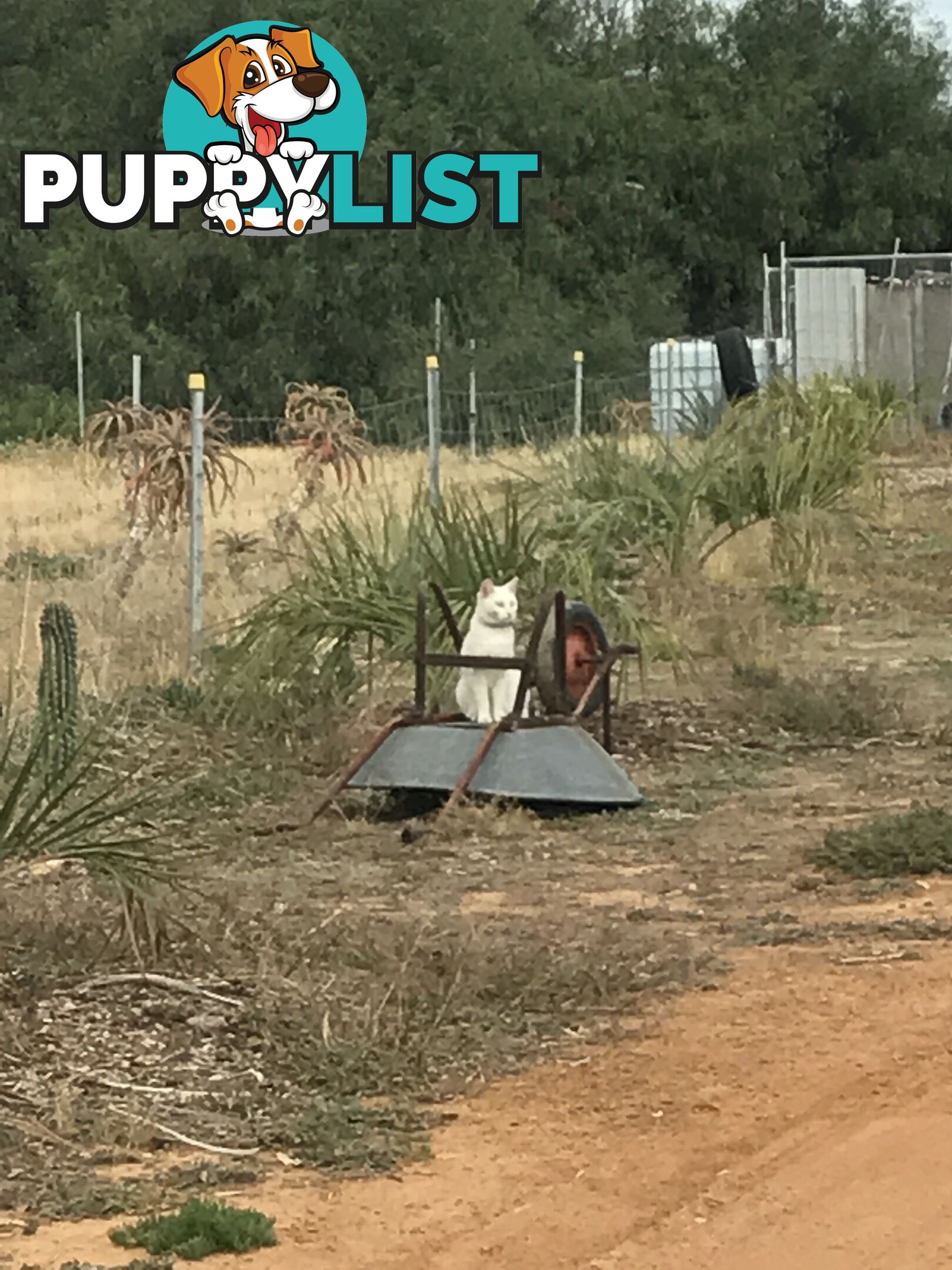 Lot 3767 Fiegert Road CUNDERDIN WA 6407