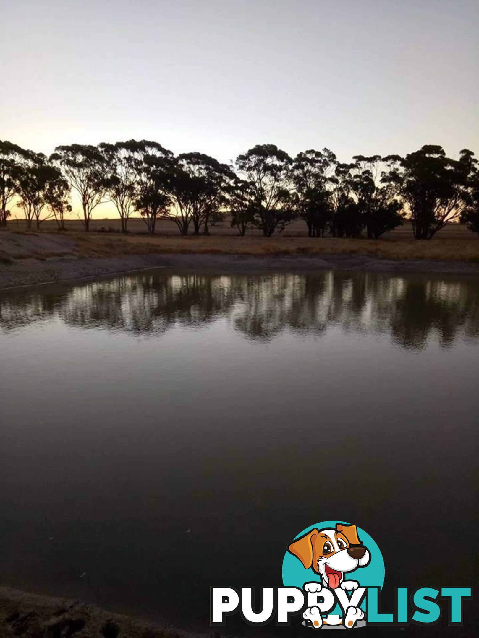 Lot 3767 Fiegert Road CUNDERDIN WA 6407