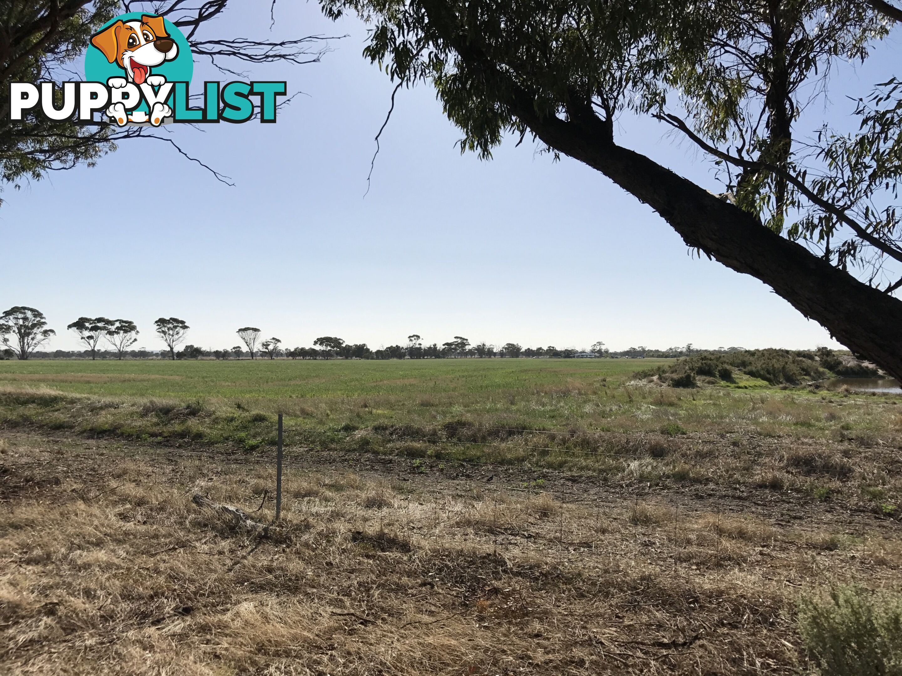 Lot 3767 Fiegert Road CUNDERDIN WA 6407