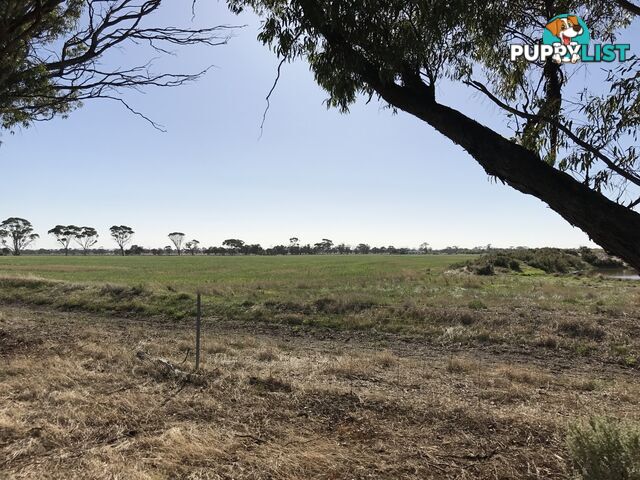 Lot 3767 Fiegert Road CUNDERDIN WA 6407