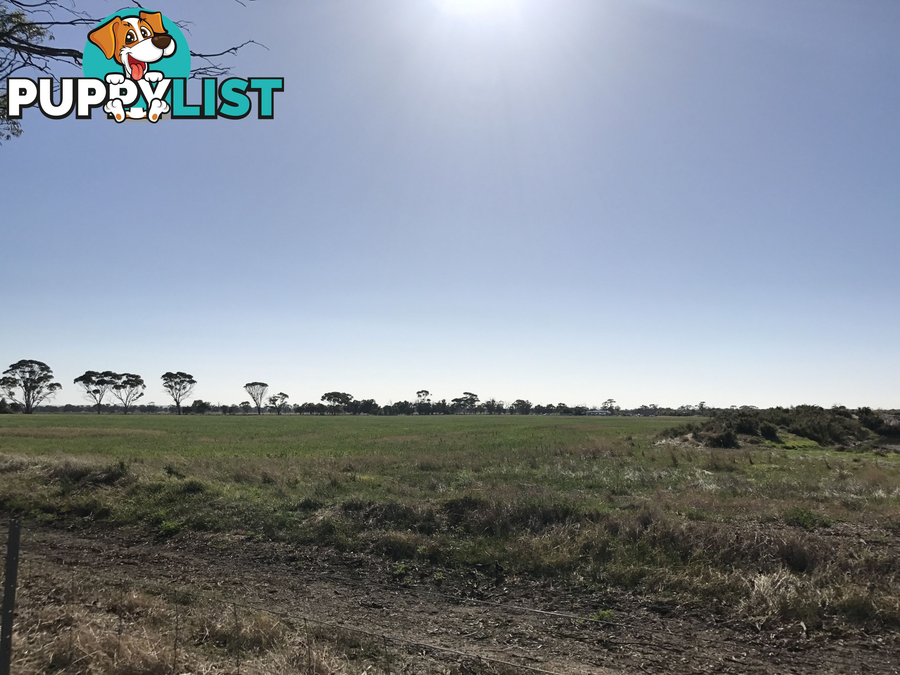 Lot 3767 Fiegert Road CUNDERDIN WA 6407