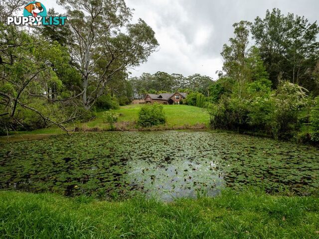 10 Clyde Rd HOLGATE NSW 2250