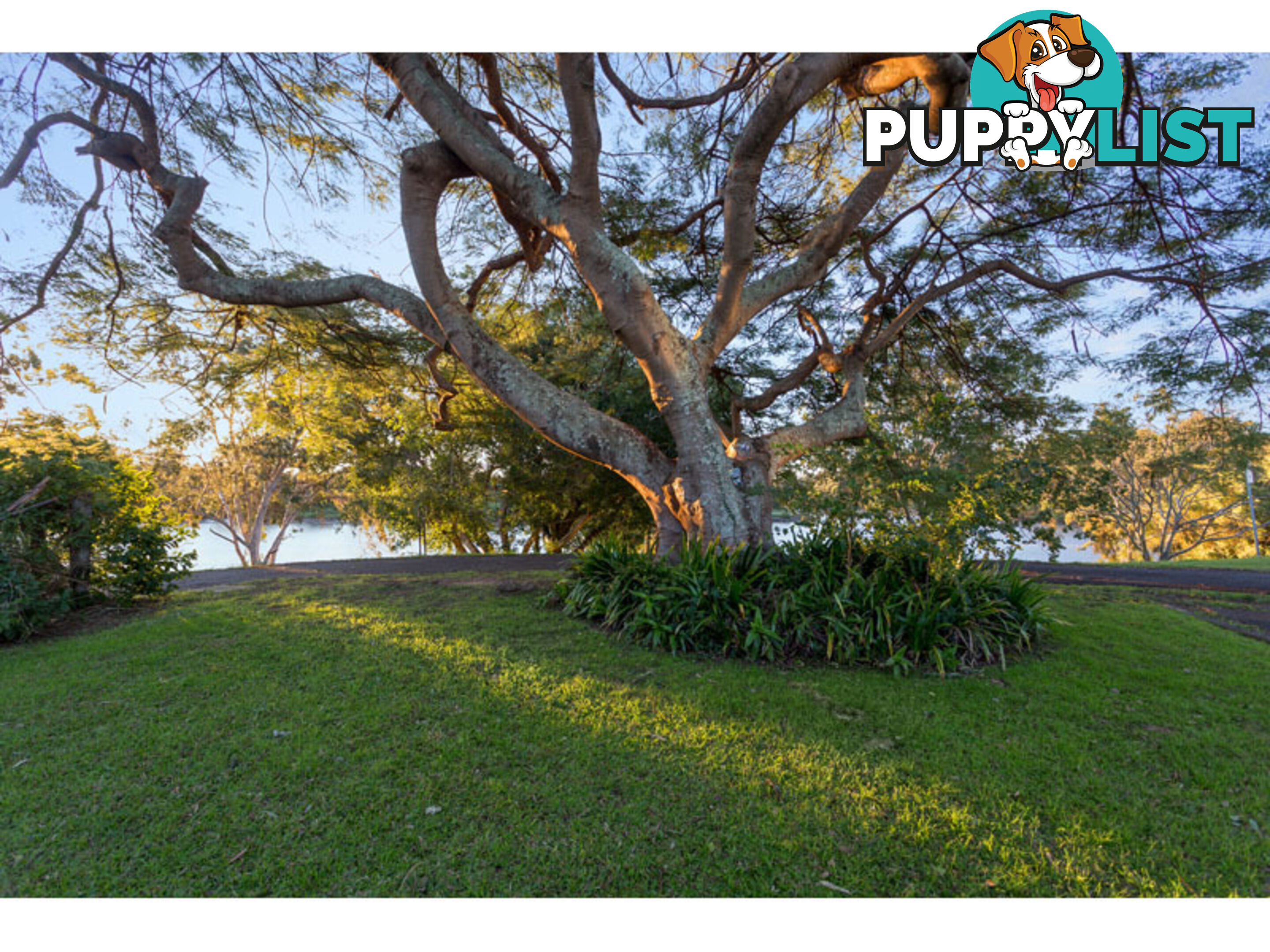 38 (Lot 69) Teesdale Street CORINDA QLD 4075