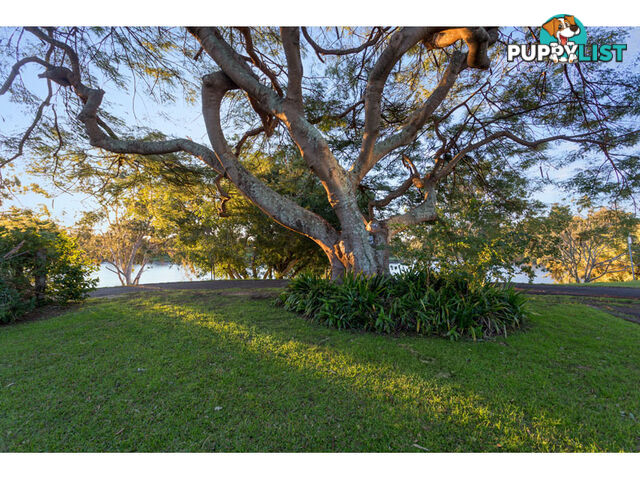 38 (Lot 69) Teesdale Street CORINDA QLD 4075