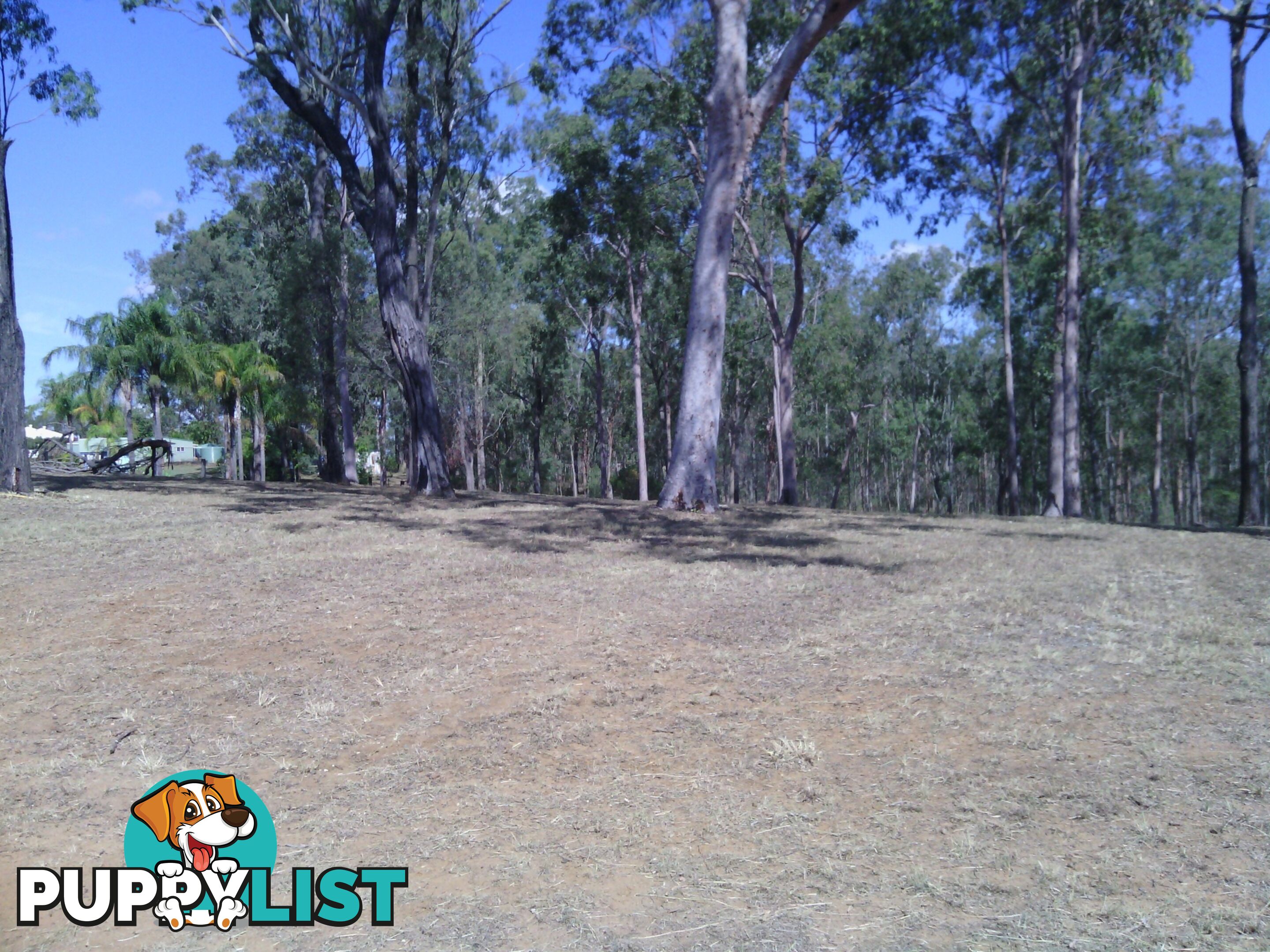4-8 EASTFIELD COURT DEEBING HEIGHTS QLD 4306