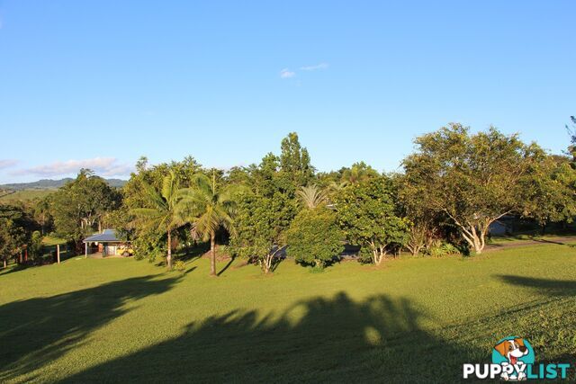 14 O'Connor Dr INNISFAIL QLD 4860