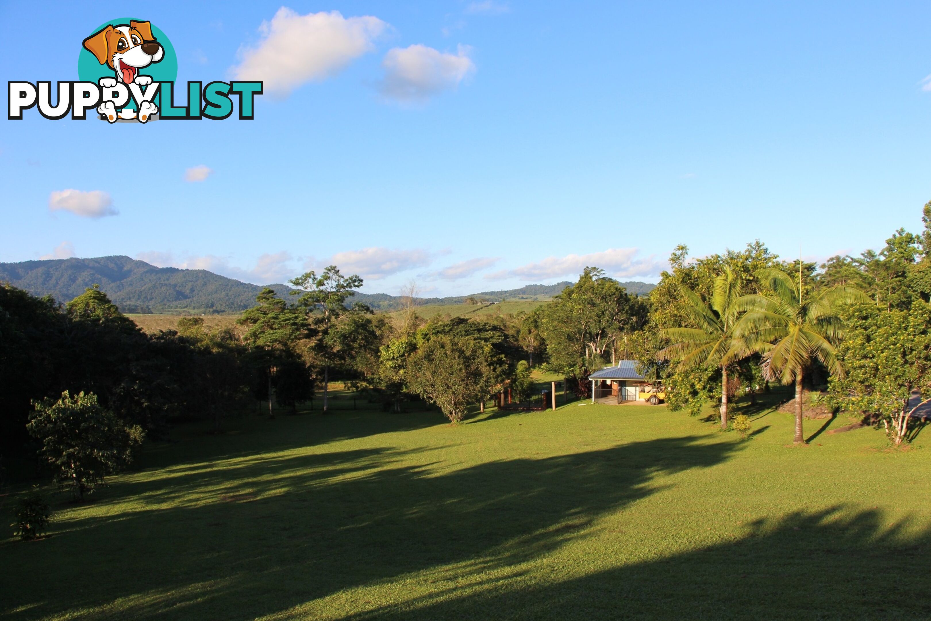 14 O'Connor Dr INNISFAIL QLD 4860