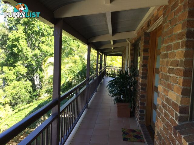 30 Highview Terrace DAISY HILL QLD 4127