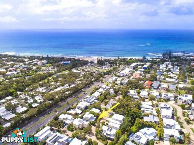 61 Dicky Beach Close DICKY BEACH QLD 4551