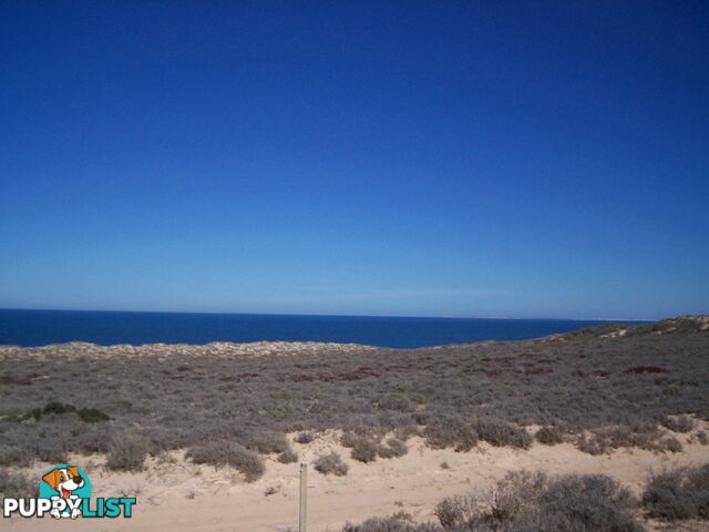 LOT 66 Clare Bay Rd FOWLERS BAY SA 5690