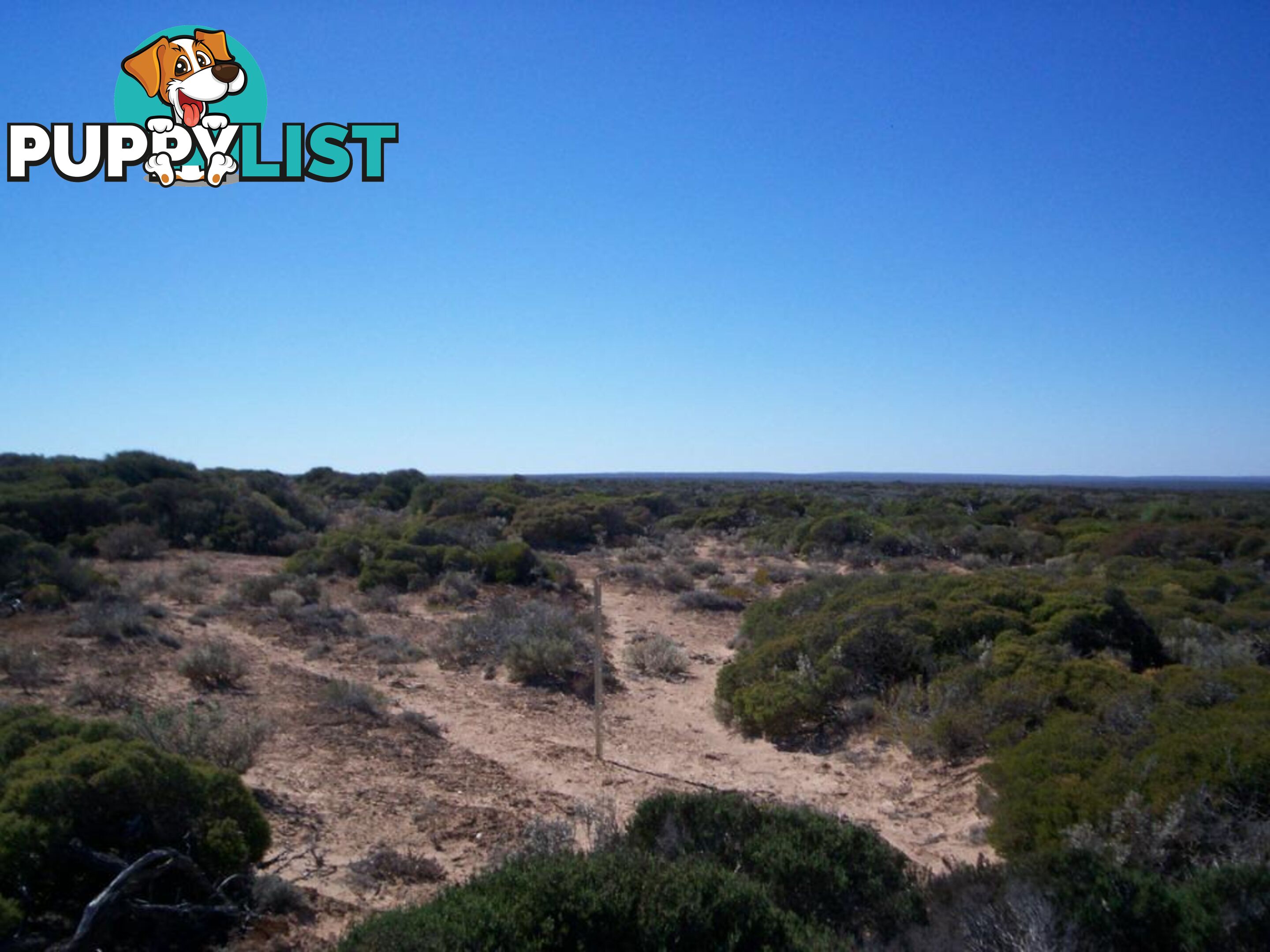 lot 67 Clare Bay Rd FOWLERS BAY SA 5690