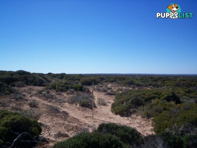 lot 67 Clare Bay Rd FOWLERS BAY SA 5690
