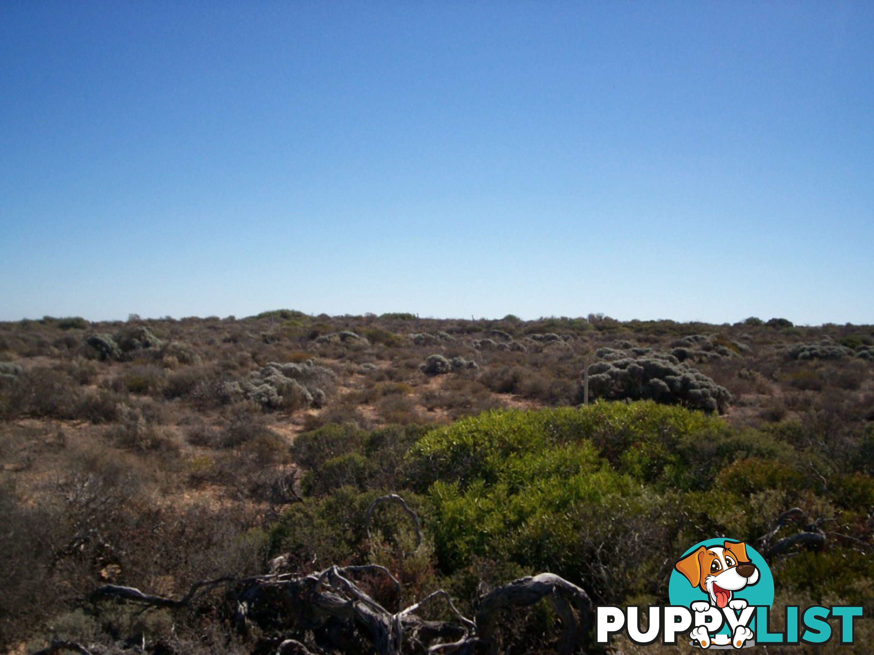lot 67 Clare Bay Rd FOWLERS BAY SA 5690