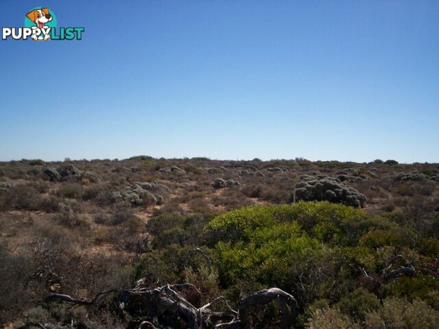 lot 67 Clare Bay Rd FOWLERS BAY SA 5690