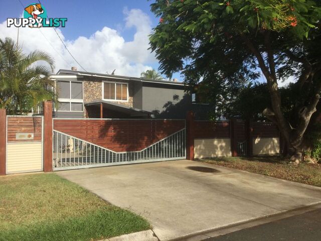 50 Dart Street REDLAND BAY QLD 4165