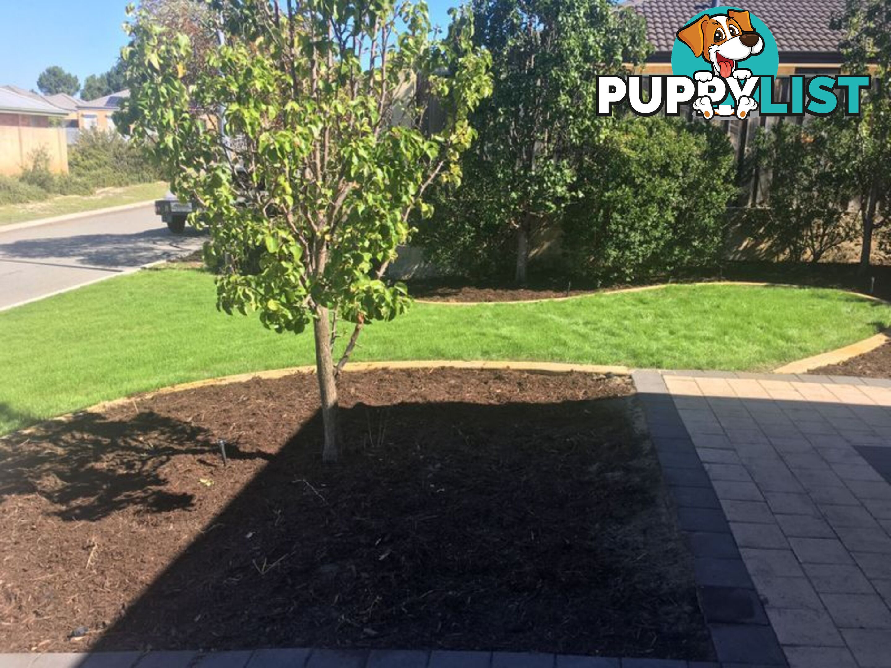 10 Durant Way ELLENBROOK WA 6069