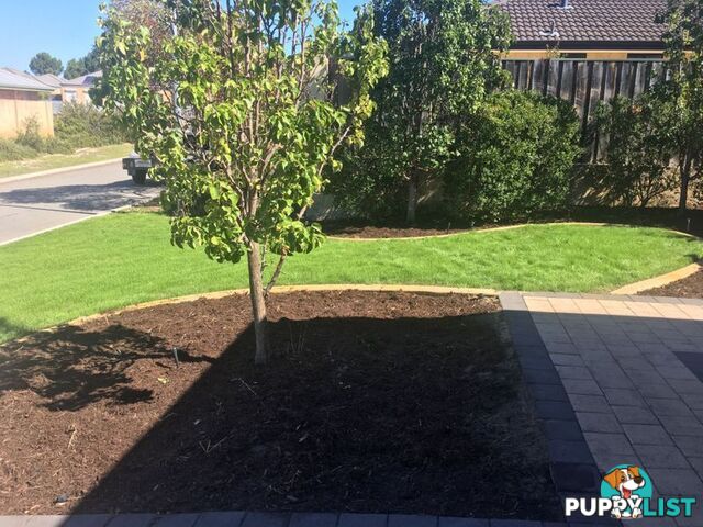 10 Durant Way ELLENBROOK WA 6069