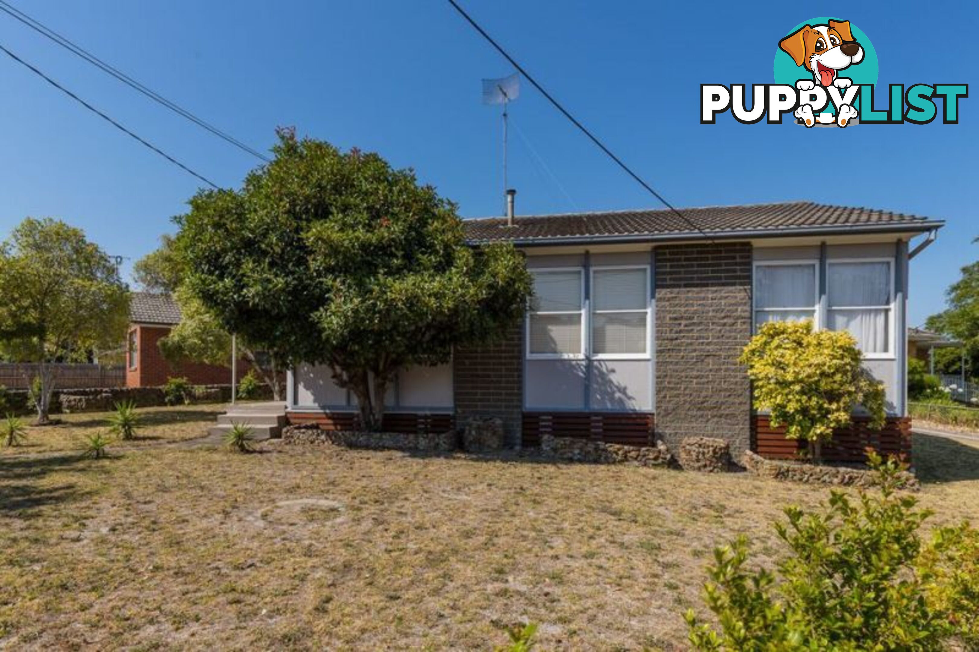 24 Poplar Street FRANKSTON NORTH VIC 3200