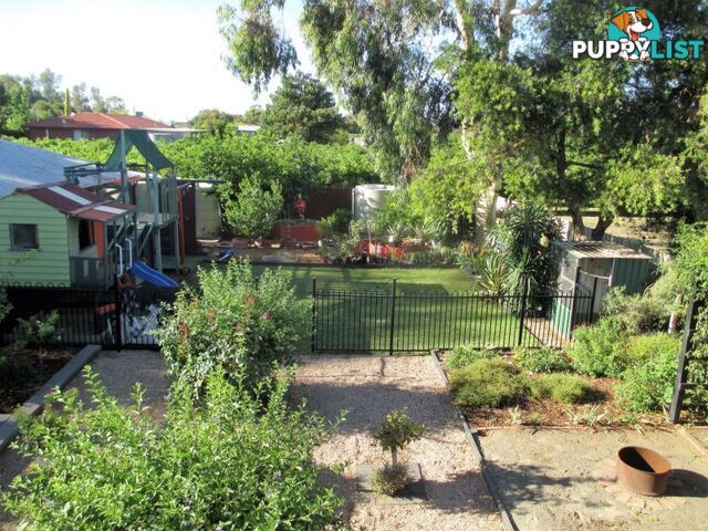 16 Kulkyne Street RENMARK SA 5341