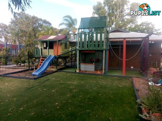 16 Kulkyne Street RENMARK SA 5341