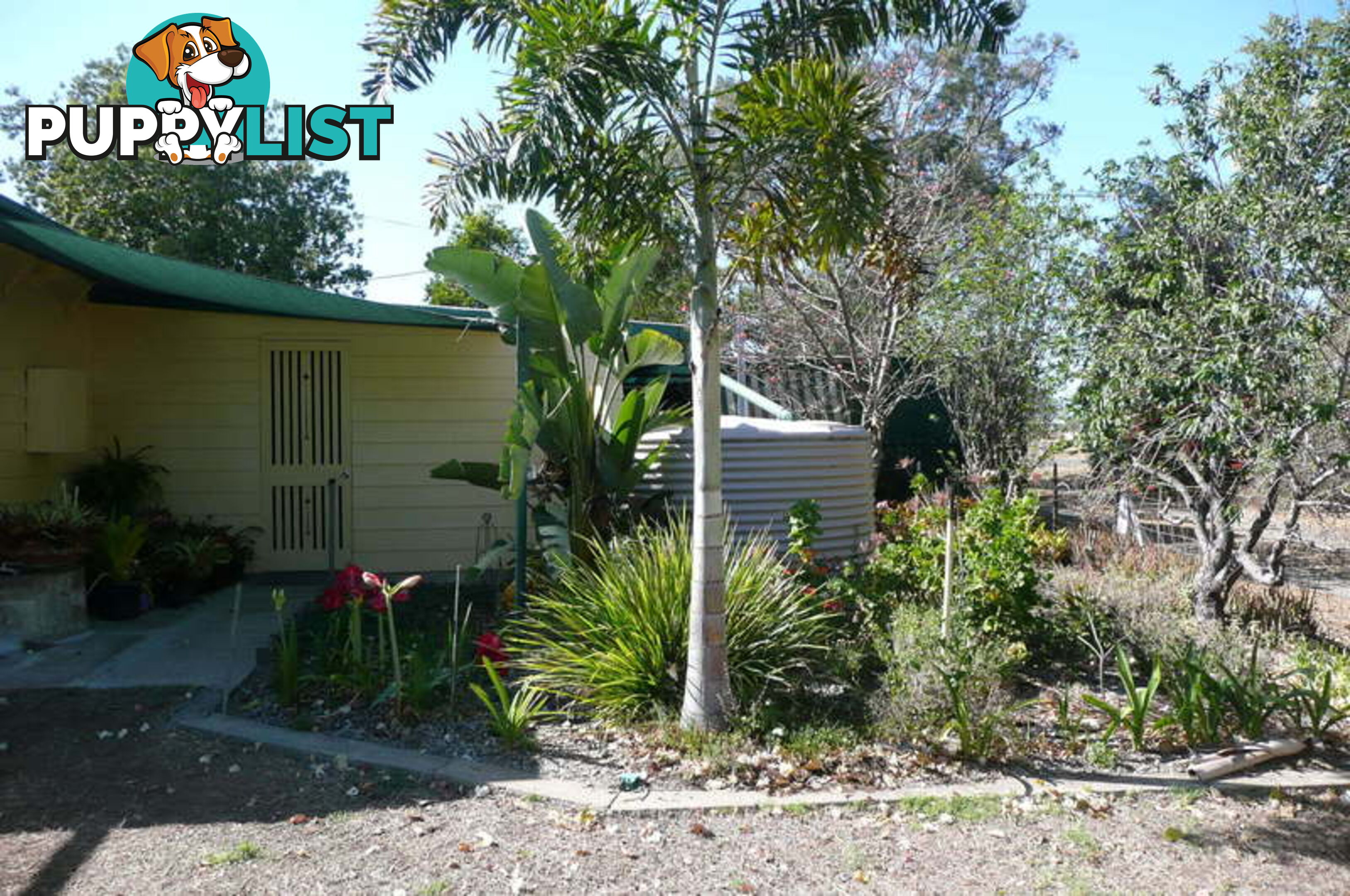 10 Morgan Street BARALABA QLD 4702