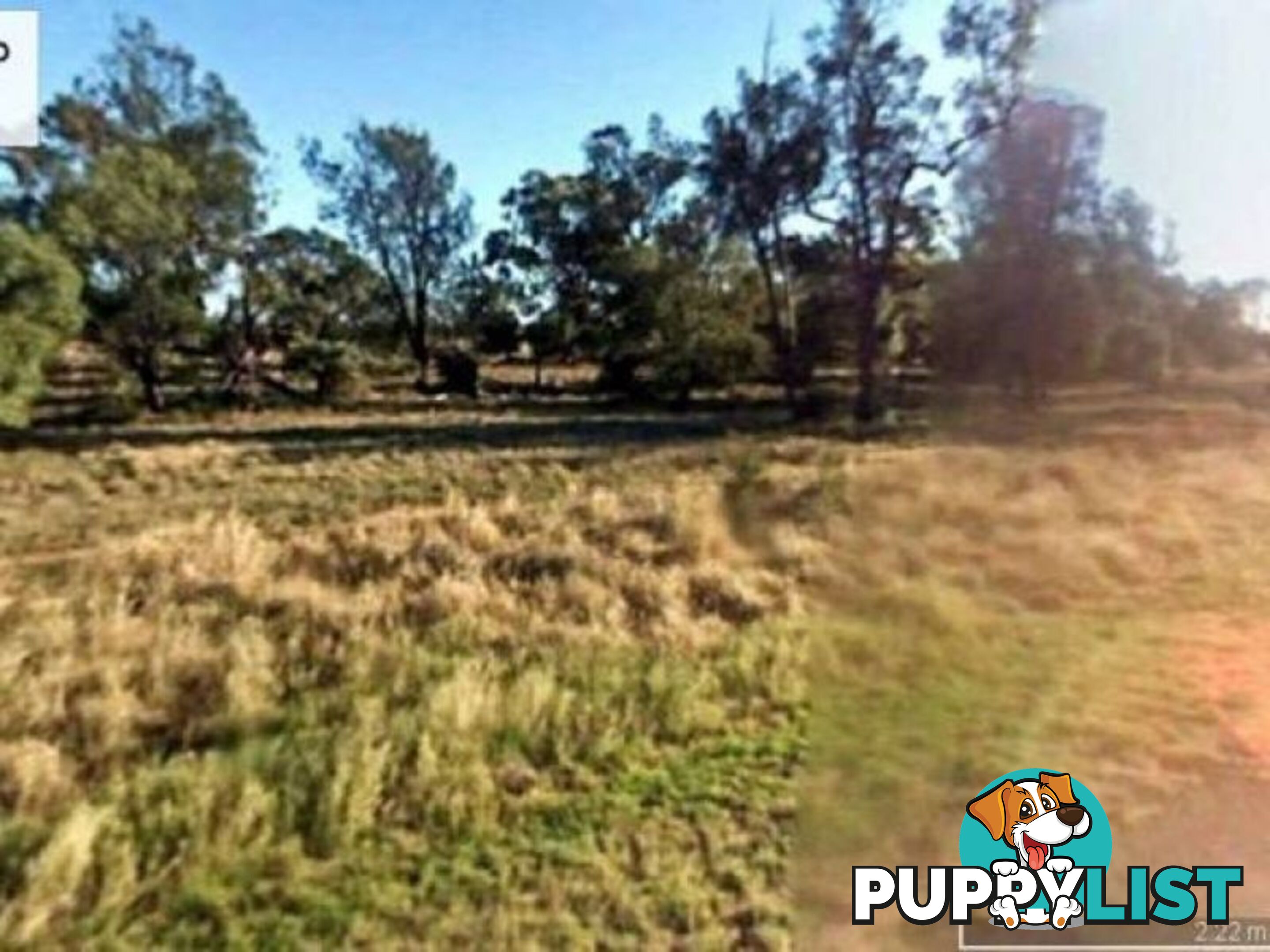 Lot 50 Pilliga Road GILGOOMA NSW 2829