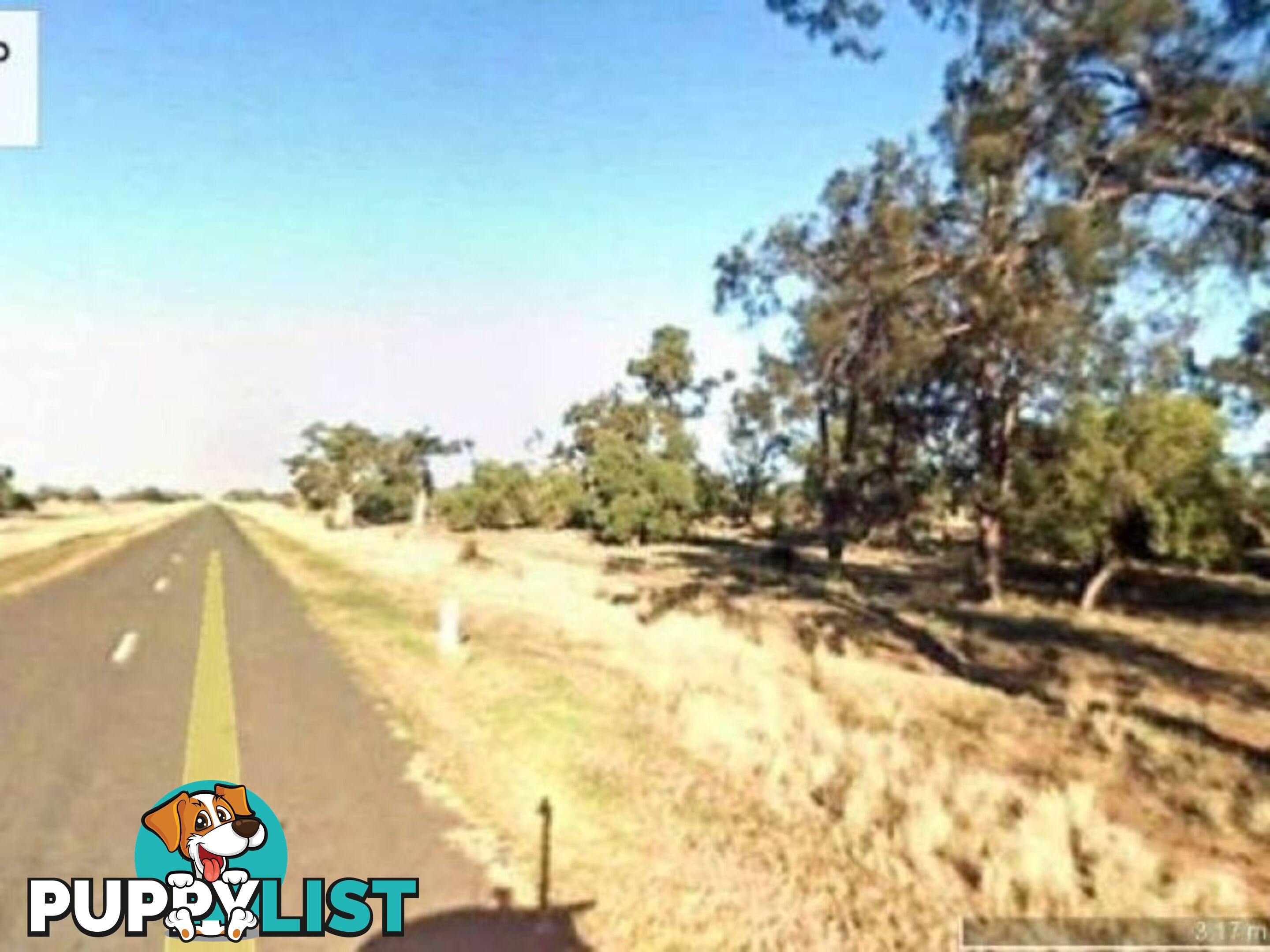 Lot 50 Pilliga Road GILGOOMA NSW 2829