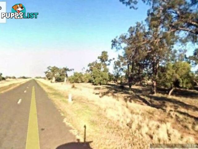 Lot 50 Pilliga Road GILGOOMA NSW 2829